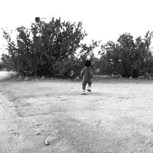 Meet your Posher, Sheila - Picture 1 of 1